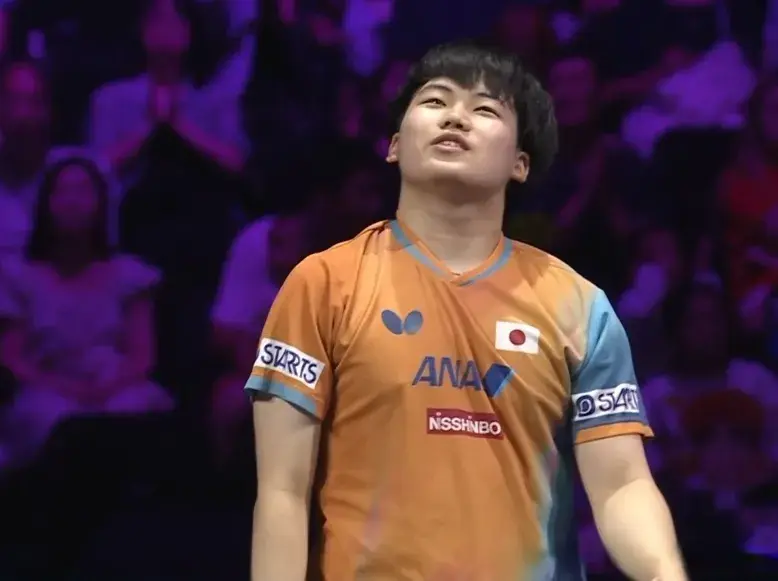 msn, 今天下午继 msn, 今天下午继